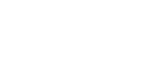 logo en blanco destino china